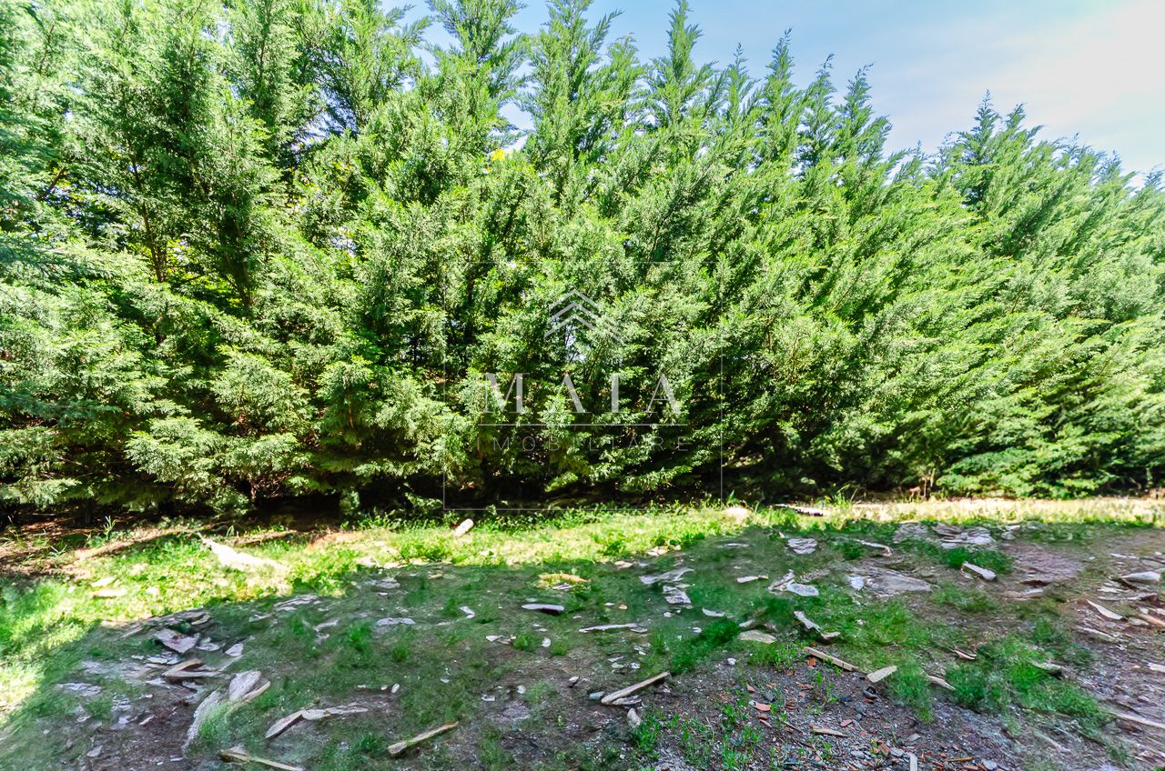 Apartament 2 camere cu gradina, parcare, inconjurat de zona verde